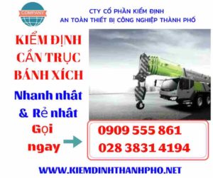 Hình ảnh kiểm định cần trục bánh xích