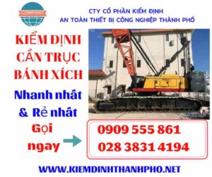 Hình ảnh kiểm định cần trục bánh xích