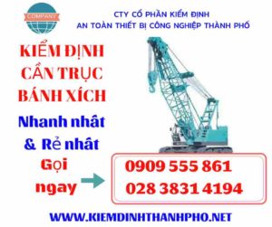 Hình ảnh kiểm định cần trục bánh xích