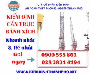 Hình ảnh kiểm định cần trục bánh xích