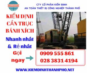 Hình ảnh kiểm định cần trục bánh xích