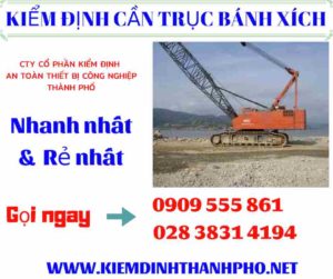 Hình ảnh kiểm định cần trục bánh xích