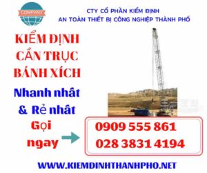 Hình ảnh kiểm định cần trục bánh xích