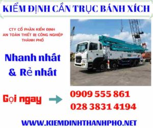 Hình ảnh kiểm định cần trục bánh xích