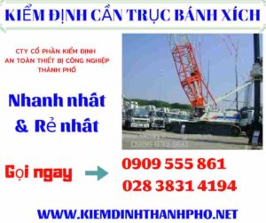 Hình ảnh kiểm định cần trục bánh xích