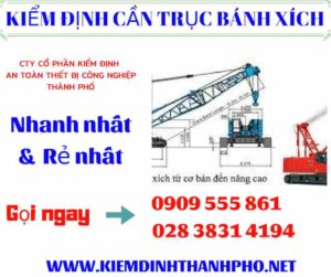 Hình ảnh kiểm định cần trục bánh xích