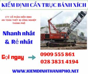 Hình ảnh kiểm định cần trục bánh xích