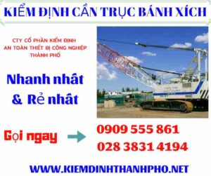 Hình ảnh kiểm định cần trục bánh xích