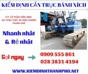 Hình ảnh kiểm định cần trục bánh xích