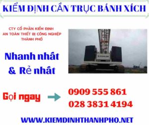 Hình ảnh kiểm định cần trục bánh xích