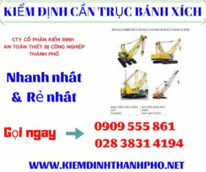 Hình ảnh Kiểm định cần trục bánh xích