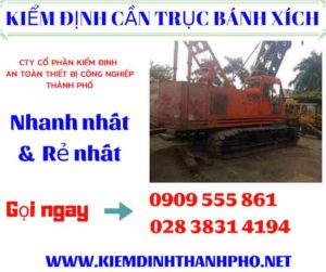 Hình ảnh kiểm định cần trục bánh xích