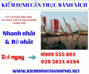 Hình ảnh kiểm định cần trục bánh xích