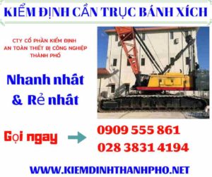 Hình ảnh Kiểm định cần trục bánh xích