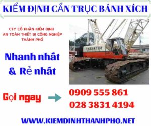 Hình ảnh Kiểm định cần trục bánh xích