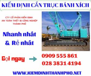 Hình ảnh Kiểm định cần trục bánh xích