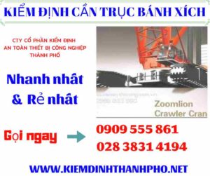 Hình ảnh Kiểm định cần trục bánh xích