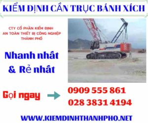 Hình ảnh Kiểm định cần trục bánh xích