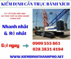 Hình ảnh Kiểm định cần trục bánh xích