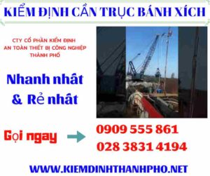 Hình ảnh Kiểm định cần trục bánh xích