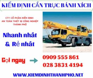 Hình ảnh Kiểm định cần trục bánh xích