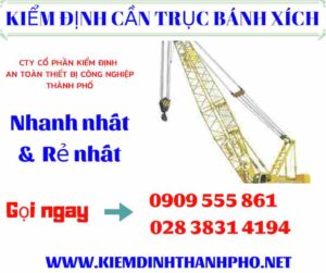 Hình ảnh Kiểm định cần trục bánh xích