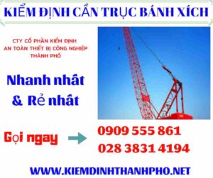 Hình ảnh Kiểm định cần trục bánh xích