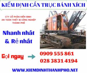 Hình ảnh Kiểm định cần trục bánh xích