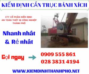 Hình ảnh Kiểm định cần trục bánh xích