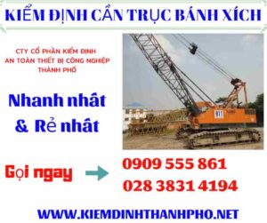 Hình ảnh Kiểm định cần trục bánh xích