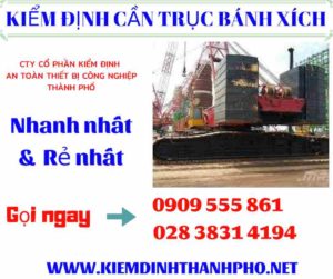 Hình ảnh Kiểm định cần trục bánh xích