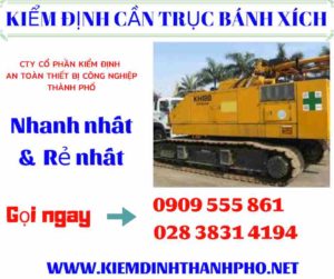 Hình ảnh Kiểm định cần trục bánh xích