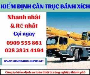 Hình ảnh Kiểm định cần trục bánh xích