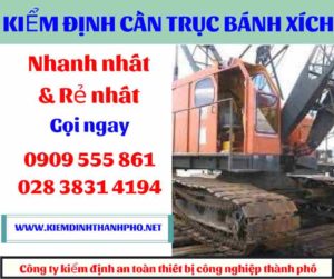 Hình ảnh Kiểm định cần trục bánh xích