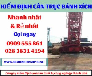 Hình ảnh Kiểm định cần trục bánh xích