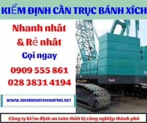 Hình ảnh Kiểm định cần trục bánh xích