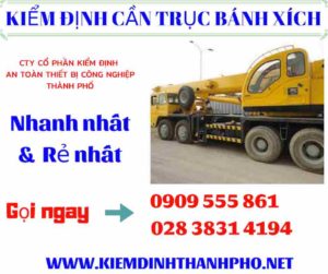 Hình ảnh kiểm định cần trục bánh xích