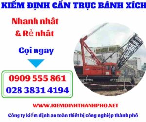 Hình ảnh Kiểm định cần trục bánh xích