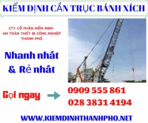 Hình ảnh kiểm định cần trục bánh xích