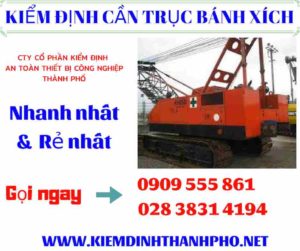 Hình ảnh kiểm định cần trục bánh xích