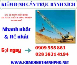 Hình ảnh kiểm định cần trục bánh xích