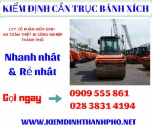 Hình ảnh kiểm định cần trục bánh xích