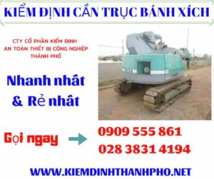 Hình ảnh kiểm định cần trục bánh xích