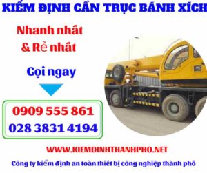 Hình ảnh Kiểm định cần trục bánh xích