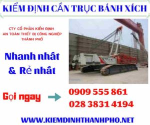 Hình ảnh kiểm định cần trục bánh xích