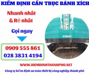 Hình ảnh Kiểm định cần trục bánh xích