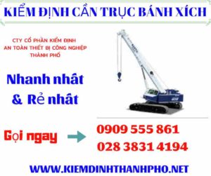 Hình ảnh kiểm định cần trục bánh xích