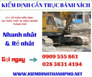 Hình ảnh kiểm định cần trục bánh xích