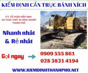 Hình ảnh kiểm định cần trục bánh xích