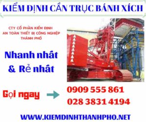 Hình ảnh kiểm định cần trục bánh xích